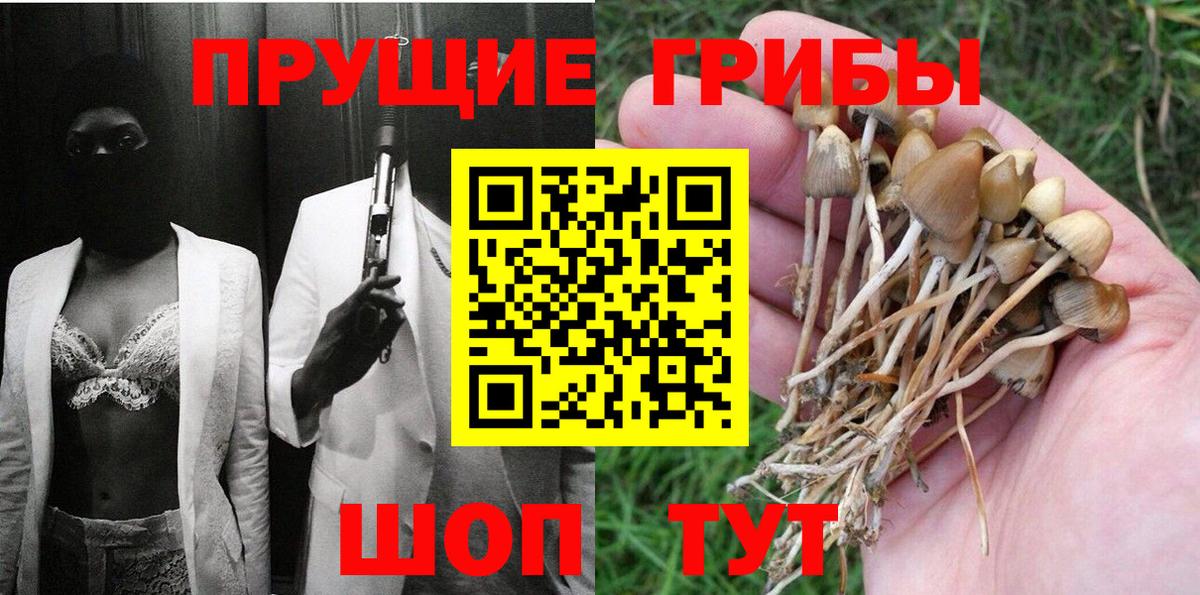 Галлюциногенные грибы MAGIC MUSHROOMS  Псилоцибиновые грибы прущие грибы  Вход с VPN  Борисоглебск 